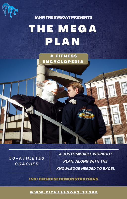 The Mega Plan - Your Tailored Fitness Journey (Ebook)