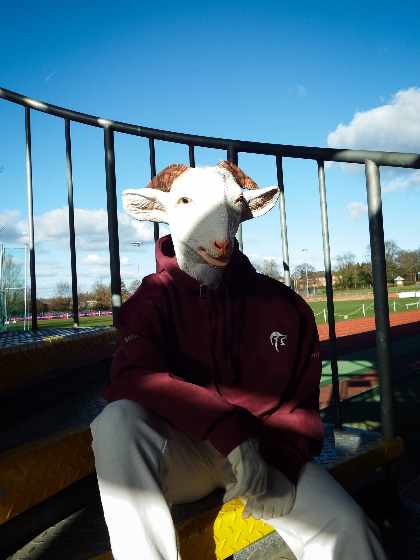 Goat In A Boat Hoodie